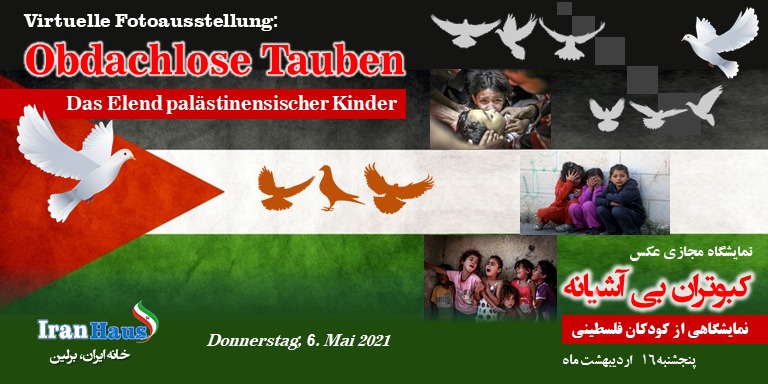 Obdachlose Tauben - Das Elend palästinensischer Kinder