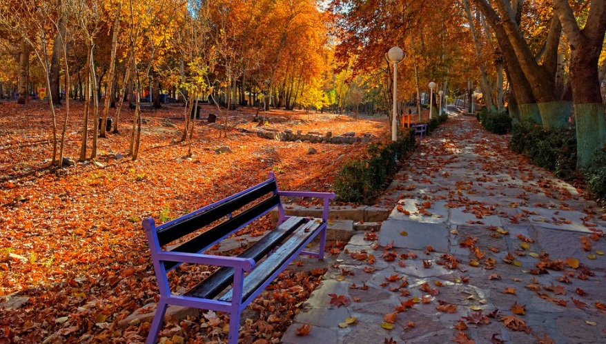 Herbstliche Natur des Vakilabad-Parks in Maschhad