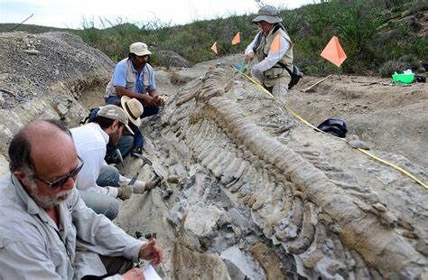 Maragheh – Ein Paradies für Paläontologen