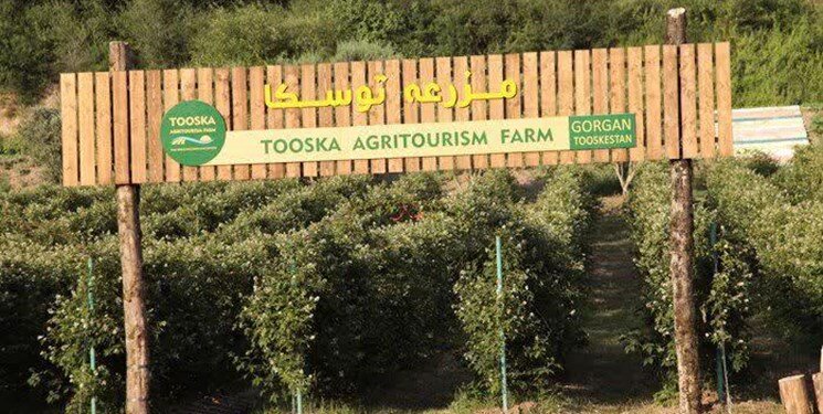 Agrotourismus in Golestan