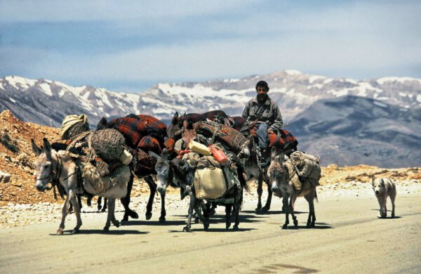 Nomaden – Der lange Treck der Bakhtiari