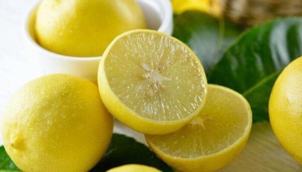 Süße Zitronen aus Iran in Deutschland immer beliebter