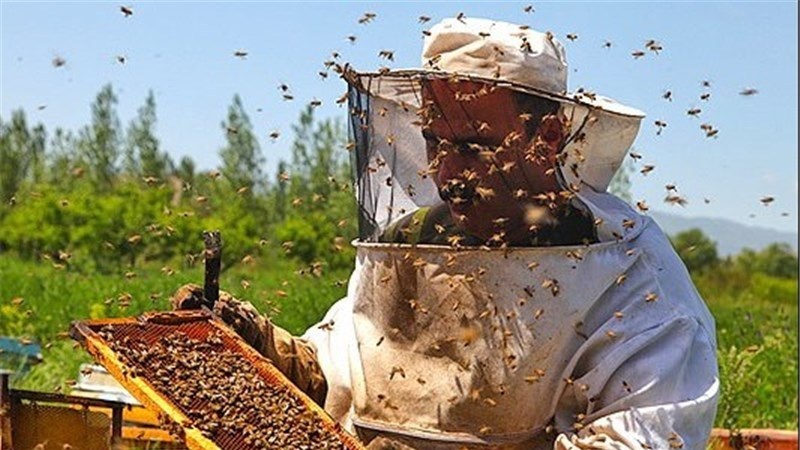 Iran ist der drittgrößte Honigproduzent der Welt