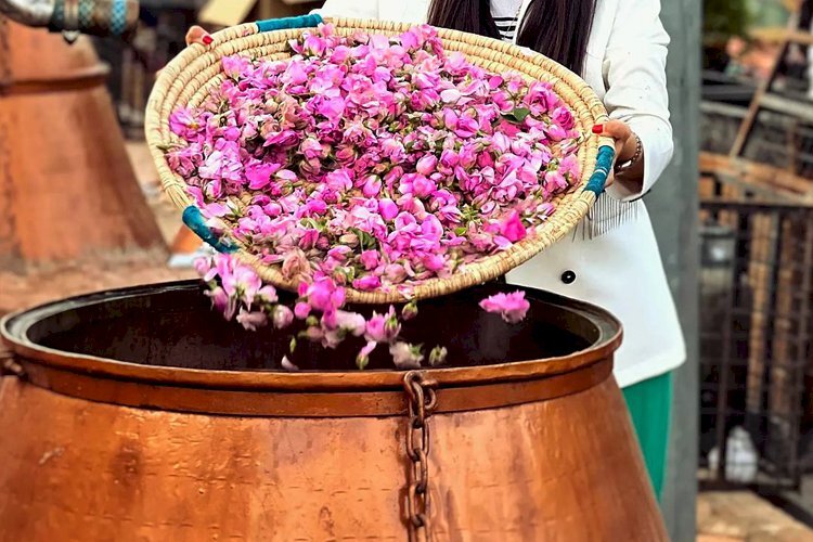 UNESCO-Antrag für Iranisches Rosenwasserfest – Golab-Giri