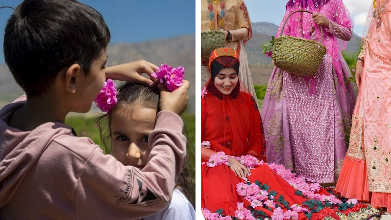 Iran - Land der Rosen und des Rosenwassers 