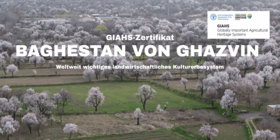 Die FAO verleiht dem Baghestan von Ghazvin ein GIAHS-Zertifikat