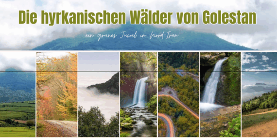 Die hyrkanischen Wälder von Golestan, ein grünes Juwel in Nordiran