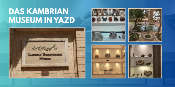 Das Kambrian Museum in Yazd: Eine Reise in die Meere vor 150 Millionen Jahren